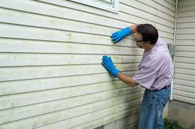 Affordable Siding Repair and Maintenance Services in West Little River, FL